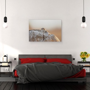Tablou canvas - Bufnita Mica, Ochi, Privind, 80 x 120 cm - Img 3