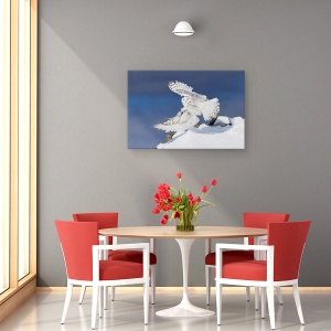 Tablou canvas - Bufnita Polara, Aripi, Rece, Pene, Canada, Bufnita, 60 x 90 cm - Img 4