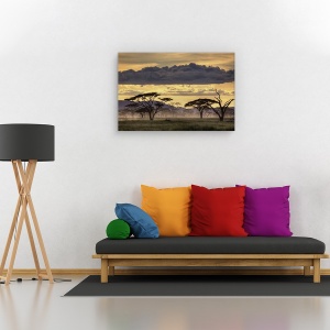 Tablou canvas - Buna seara, Tanzania!, Peisaj, Copac, Ceata, Africa, 60 x 90 cm - Img 2