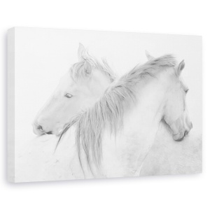 Tablou canvas - Cai, Animal, Cal, Dragoste, Prietenie, 60 x 90 cm
