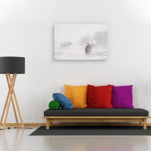 Tablou canvas - Caini In Furtuna, Canada, Rece, 80 x 120 cm - Img 2