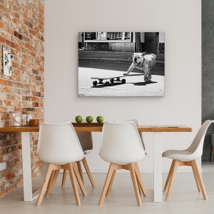 Tablou canvas - Cainii Vor Doar Sa Se Distreze, Animal, Strada, Skateboard, 60 x 80 cm - Img 4