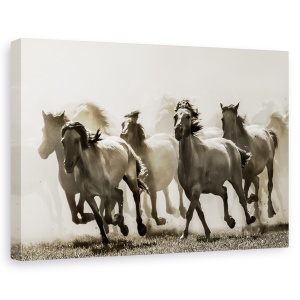 Tablou canvas - Cal, Nature, Galop, Alearga, Tonifiat, 80 x 120 cm