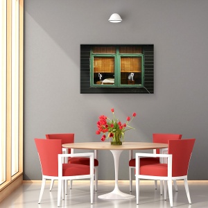 Tablou canvas - Cei Care Spala Geamuri, Olanda, Pisici, Fereastra, Perdele, 60 x 90 cm - Img 4