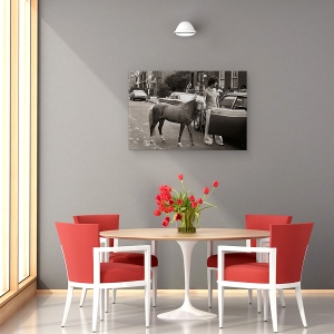 Tablou canvas - Chiar Incearca Sa Ma Integreze Acolo Din Nou, Ponei, Umor, 60 x 90 cm - Img 4
