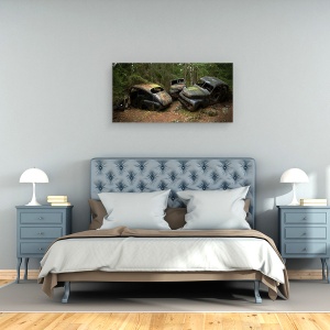 Tablou canvas - Cimitirul De Masini Din Padure, Vechi, Lemn, 50 x 100 cm - Img 3