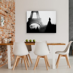 Tablou Canvas - Cioara, Multime, Franta, Peisaj Urban, La Paris, Alb-Negru, 50 x 70 cm - Img 4