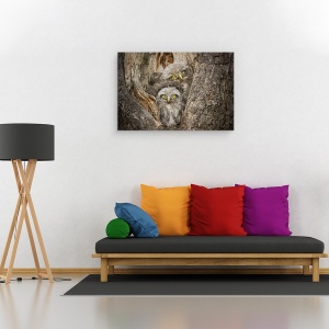 Tablou canvas - Civ Si Civ, Animal, Pasare, Salbatic, 40 x 60 cm - Img 2