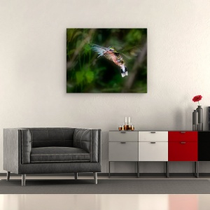 Tablou canvas - Colibri, Salbatic, Pasare, Aripi, Verde, 60 x 75 cm - Img 2