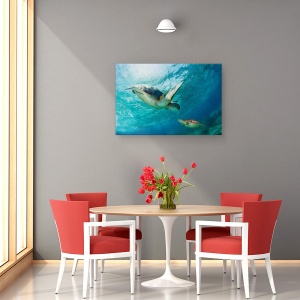Tablou canvas - Contact, Mare, Philipiines, Broasca Testoasa, 40 x 60 cm - Img 4