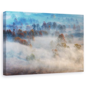 Tablou canvas - Copaci In Ceata Matinala, Dimineata, Toamna, Italia, Adda, 60 x 90 cm