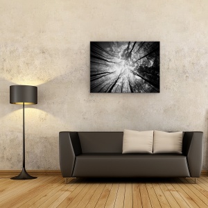 Tablou canvas - Copaci, Padure, Peisaj, Perspectiva, Cer, 75 x 100 cm - Img 2