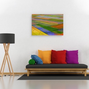 Tablou canvas - Coperta, Castelluccio, Flori, Umbria, 40 x 60 cm - Img 2