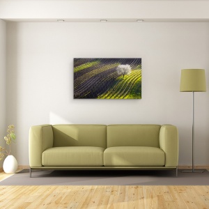 Tablou canvas - Corzi De Primavara, Copac, Linii, Vin, Struguri, 50 x 80 cm - Img 2
