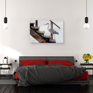 Tablou canvas - Cu Un Pas Ferm, Heron, Scari, Maldive, Pasare, 40 x 60 cm - Img 3