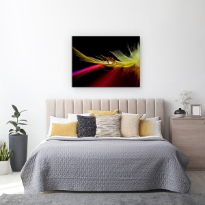 Tablou canvas - Culori In Picatura, Pene, 75 x 100 cm - Img 3