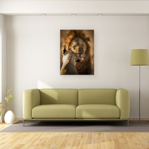 Tablou canvas - Da-Mi Putina Dragoste, Salbatic, Animal, Calatorie, 75 x 100 cm - Img 2
