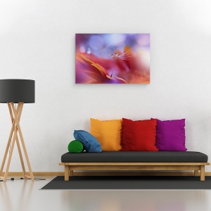 Tablou canvas - Dans In Lumina, Macro, Aproape, Picatura, Apa, Floare, 40 x 60 cm - Img 2