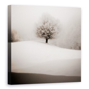 Tablou Canvas - Degrade De Iarna, Copac, Alb-Negru, Peisaj, Natura, 60 x 60 cm