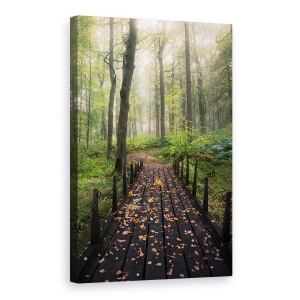 Tablou canvas - Dimineata Cetoasa, Punct, Pod, Frunze, Trecere, 60 x 90 cm