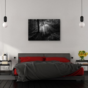 Tablou canvas - Dimineata insorita, Peisaj, Soare, Raze, Copaci, 60 x 90 cm - Img 3