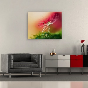 Tablou Canvas - Dimineata Rosie, Seminte, Picatura, Bland, Delicat, 60 x 75 cm - Img 2