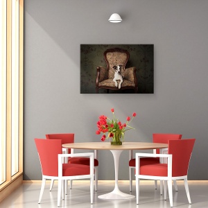 Tablou canvas - Doamna Molly, Caini, Caine, Studio, Animal, 80 x 120 cm - Img 4