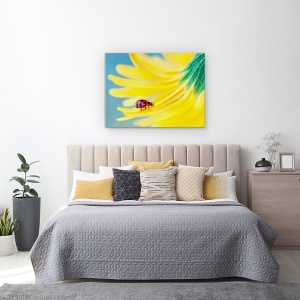 Tablou Canvas - Doamna Rosie, Buburuza, Rosu, Galben, 60 x 80 cm - Img 3