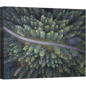 Tablou canvas - Drum Prin Padure, Aerial, Peisaj, Pomi, Copac, Padure, Verde, 50 x 70 cm