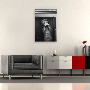 Tablou canvas - Du-Ma Acasa, Pisica, Animal, Pet, 40 x 60 cm - Img 2
