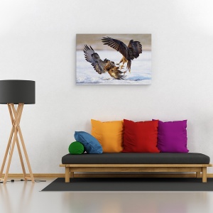 Tablou canvas - Duel, Natura, Pasare, Salbatic, Lupta, 40 x 60 cm - Img 2