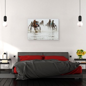 Tablou canvas - Duuuhnnn, Cai, Actiune, Concurs, Apa, Trot, 60 x 90 cm - Img 3
