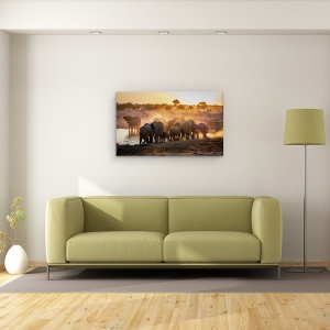 Tablou canvas - Elefant Ghemuit, Etosha, National, Parc, Animale, 50 x 80 cm - Img 2