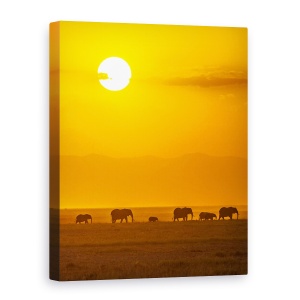Tablou canvas - Elefanti In Apus, Safari, Kenya, Amboseli, Turma, 50 x 70 cm