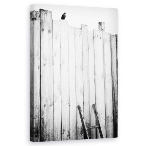 Tablou canvas - Eliberat, Scandura, Scara, Evadare, Libertate, Gratuit, 50 x 80 cm