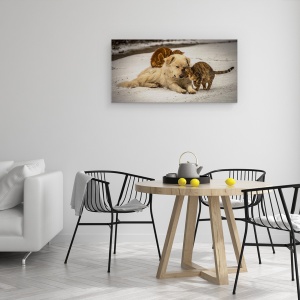 Tablou canvas - Emisii Dulci, Strada, Dragoste, Animale, Caine, 50 x 100 cm - Img 4