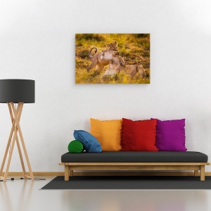 Tablou canvas - Farmecul, Leoaica, Leu, Natura, Salbatic, Kenya, 60 x 90 cm - Img 2