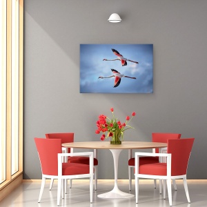 Tablou canvas - Flamingo Mai Mari, Camargue, Pasari, Natura, Salbatic, 80 x 120 cm - Img 4