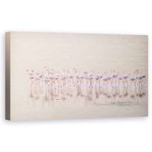 Tablou Canvas - Flamingo Marsaluind, Animale, Natura, Plaja, Ocean, 50 x 100 cm