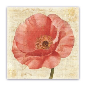 Tablou Canvas - Floral, Lalea, Roz, 60 x 60 cm