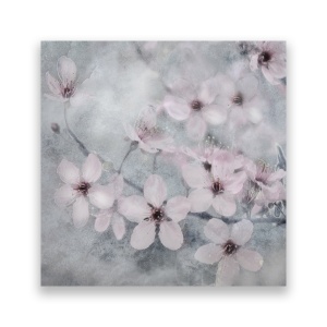 Tablou Canvas - Floral, Roz, Flori de cires, 60 x 60 cm