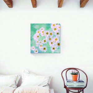 Tablou decorativ canvas muşeţel 60x60 cm
