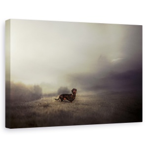 Tablou canvas - Forever Este Compus Din Nou , Caini, Elba, Hamburg, Ceata, Animale, 60 x 90 cm