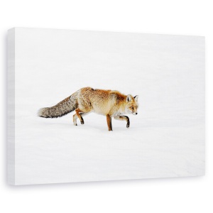 Tablou decorativ modern living cu vulpe roșie în zăpadă 40x60 cm
