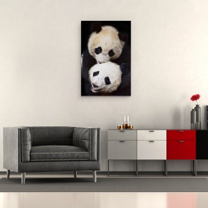 Tablou canvas - Frati, Panda, Ursi Panda, Animal, Dragut, Blana, 40 x 60 cm - Img 2