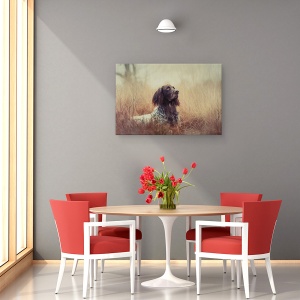 Tablou canvas - Frumoasa Aragorn, Portret, Caini, Animale, 60 x 90 cm - Img 4