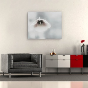Tablou canvas - Frumusete Efemera, Floare, Maci, Alb, Fragil, Flora, 60 x 75 cm - Img 2