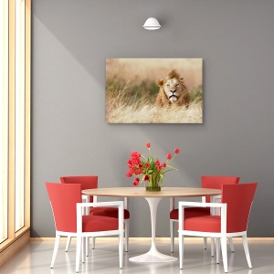 Tablou canvas - Frumusete, Nature, Leu, Serengeti, Savana, 80 x 120 cm - Img 4