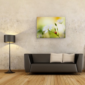 Tablou canvas - Frumuseti De Vara, Coccinellidae, Cusatura, Buburuza, Gargarita, 50 x 70 cm - Img 2