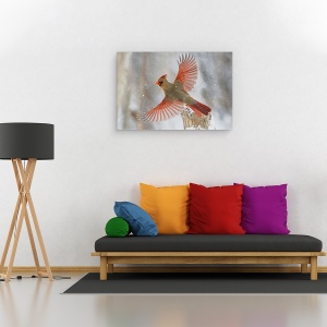 Tablou canvas - Furtuna De Zapada, Natura, Animal, Zbor, Salbatic, 60 x 90 cm - Img 2